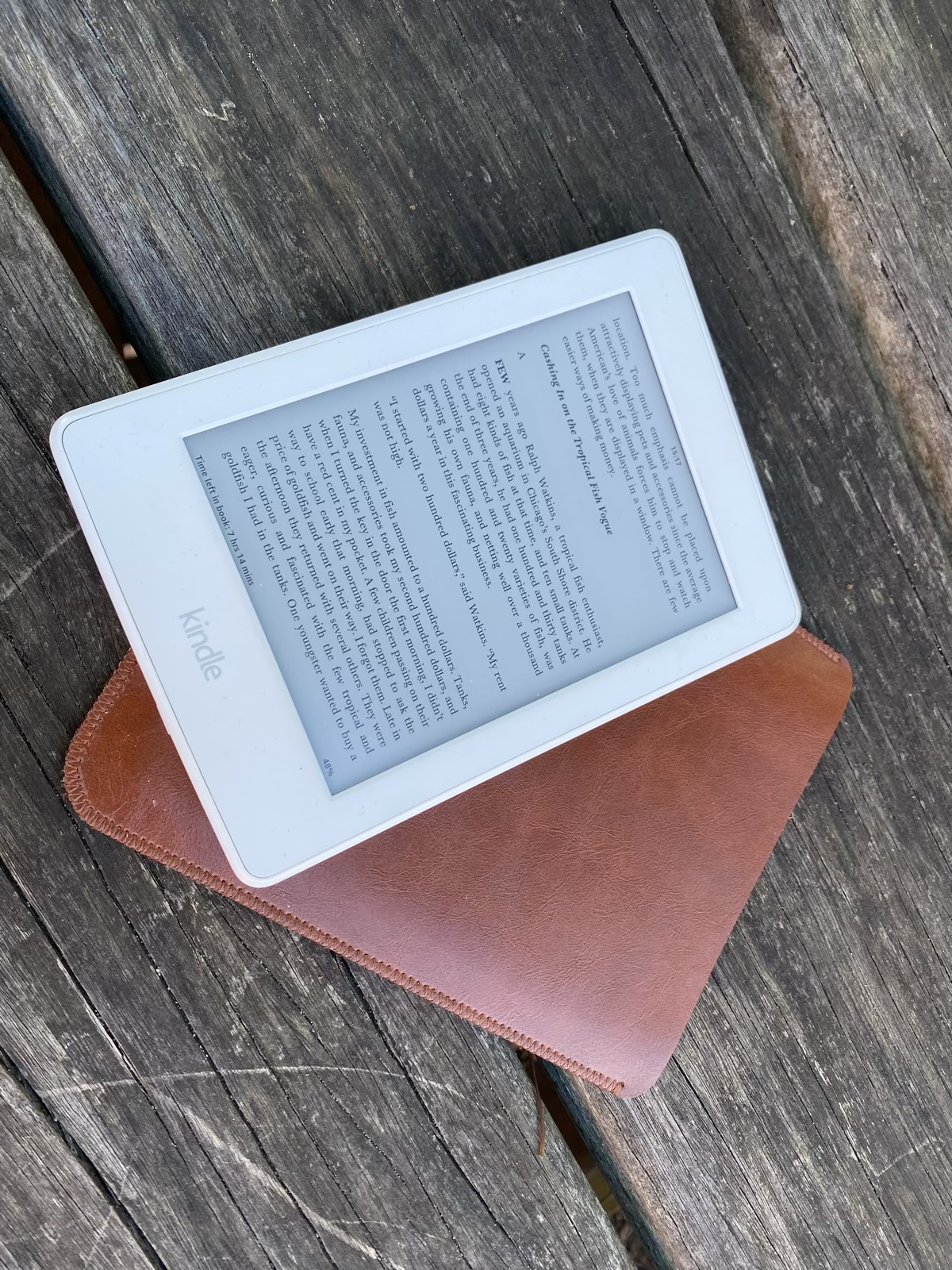 Kindle e-bogs læser med en bog åben